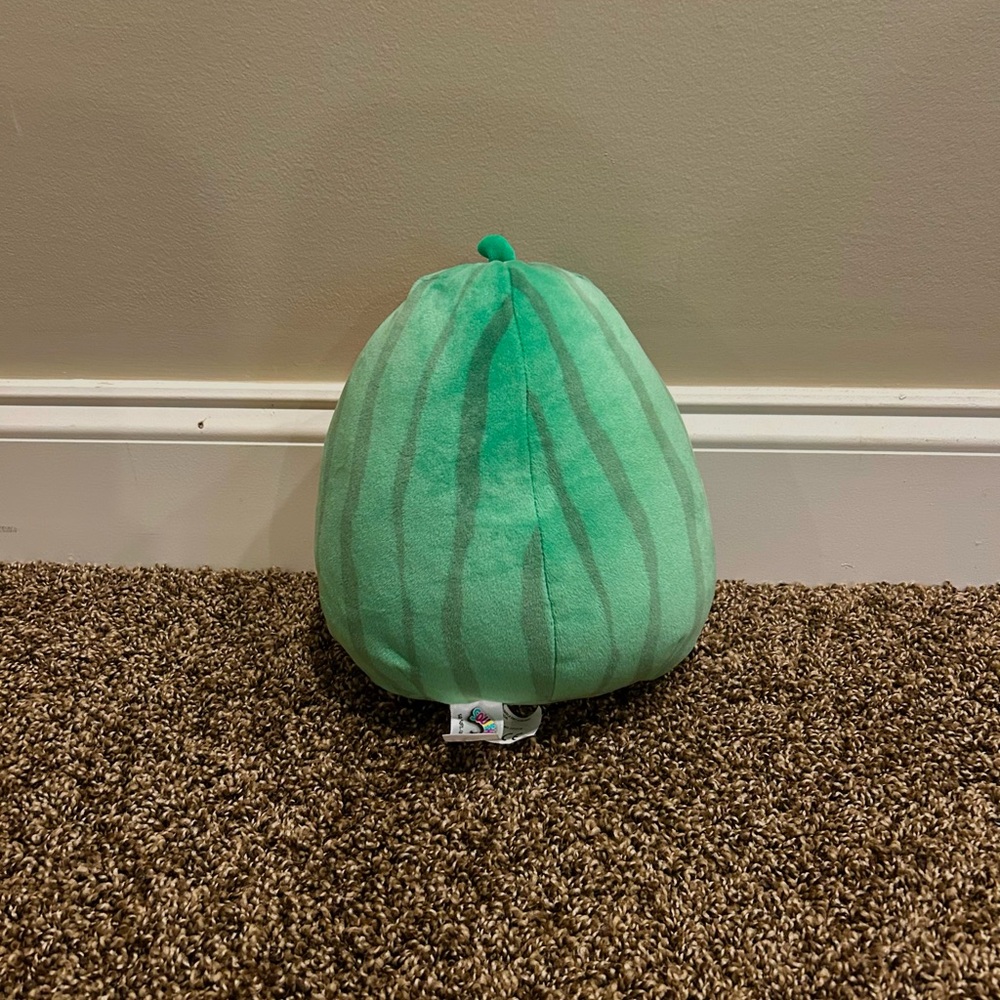 Squishmallows Wanda The Watermelon Plush Green Pink - Picture 2 of 3